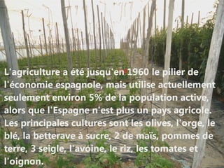 Águilas et ses produits