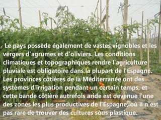 Águilas et ses produits