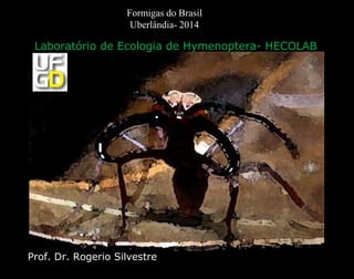 Prof. Dr. Rogerio Silvestre
Laboratório de Ecologia de Hymenoptera- HECOLAB
Formigas do Brasil
Uberlândia- 2014
 
