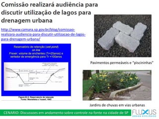 Seminário Drenagem Urbana FIESP - Técnicas naturalisticas em drenagem urbana Slide 19