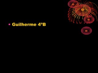 • Guilherme 4ºB
 
