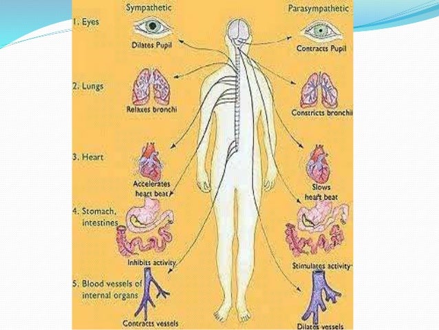 Guillain barré syndrome