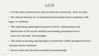 2/14/2023 12
• It is the most common form and accounts for around 85– 90% of cases.
• The clinical features are of symmetrical ascending motor weakness with
hypo- or areflexia.
• The underlying pathological process involves inflammation and
destruction of the myelin sheaths surrounding peripheral nerve
axons by activated macrophages.
• This leads to slowing and blockage of conduction within peripheral nerves
causing muscle weakness.
• Severe cases may develop secondary axonal damage
AIDP
 