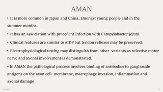 2/14/2023 13
• It is more common in Japan and China, amongst young people and in the
summer months.
• It has an association with precedent infection with Campylobacter jejuni.
• Clinical features are similar to AIDP but tendon reflexes may be preserved.
• Electrophysiological testing may distinguish from other variants as selective motor
nerve and axonal involvement is demonstrated.
• In AMAN the pathological process involves binding of antibodies to ganglioside
antigens on the axon cell membrane, macrophage invasion, inflammation and
axonal damage
AMAN
 