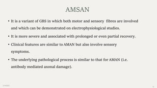 2/14/2023
14
• It is a variant of GBS in which both motor and sensory fibres are involved
and which can be demonstrated on electrophysiological studies.
• It is more severe and associated with prolonged or even partial recovery.
• Clinical features are similar to AMAN but also involve sensory
symptoms.
• The underlying pathological process is similar to that for AMAN (i.e.
antibody mediated axonal damage).
AMSAN
 