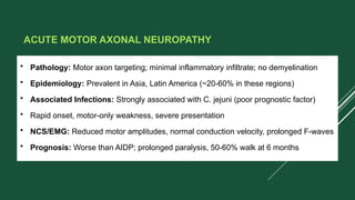 ACUTE MOTOR AXONAL NEUROPATHY
• Pathology: Motor axon targeting; minimal inflammatory infiltrate; no demyelination
• Epidemiology: Prevalent in Asia, Latin America (~20-60% in these regions)
• Associated Infections: Strongly associated with C. jejuni (poor prognostic factor)
• Rapid onset, motor-only weakness, severe presentation
• NCS/EMG: Reduced motor amplitudes, normal conduction velocity, prolonged F-waves
• Prognosis: Worse than AIDP; prolonged paralysis, 50-60% walk at 6 months
 