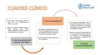 •Es la etapa comprendida entre el
inicio de las manifestaciones
clínicas y su acmé.
•Dura, de manera bastante regular,
desde algunas horas hasta
aproximadamente cuatro semanas;
como promedio, ocho días.
1. Fase de progresión del
trastorno neurológico
•Es la etapa comprendida entre el
final de la progresión y el inicio de
la recuperación clínica. Tiene una
duración promedio de 10 días.
•Esta etapa puede estar ausente o
ser muy breve.
2. Fase de estabilización
•Es la etapa comprendida entre el
inicio de la recuperación y su final.
A partir de entonces, los defectos
neurológicos que persistan pueden
considerarse secuelas.
•Tiene una duración aproximada de
un mes, pero este tiempo varía de
un individuo a otro dependiendo
de la gravedad y extensión del
daño neurológico.
3. Fase de
recuperación/regresión
 