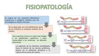Se origina por una respuesta inflamatoria
autoinmune a antígenos extraños que son
mal dirigidos al sistema nervioso.
Se ha observado una insensibilidad por parte
de los linfocitos al componte proteico de la
mielina.
Esta respuesta inmune en parte está dirigida
a los gangliósidos específicos y están
involucrados a las moléculas de adhesión
intercelular.
La migración de los linfocitos sensibilizados
hacia el interior de los nervios periféricos,
parece ser la alteración temprana a la
ruptura de las vainas de mielina.
 