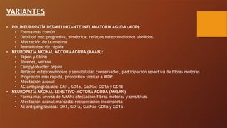 VARIANTES
• POLINEUROPATÍA DESMIELINIZANTE INFLAMATORIA AGUDA (AIDP):
• Forma más común
• Debilidd msc progresiva, simétrica, reflejos osteotendinosos abolidos.
• Afectación de la mielina
• Remielinización rápida
• NEUROPATÍA AXONAL MOTORA AGUDA (AMAN):
• Japón y China
• Jóvenes, verano
• Campylobacter Jejuni
• Reflejos osteotendinosos y sensibilidad conservados, participación selectiva de fibras motoras
• Progresión más rápida, pronóstico similar a AIDP
• Afectación axonal
• AC antigangliósidos: GM1, GD1a, GalNac-GD1a y GD1b
• NEUROPATÍA AXONAL SENSITIVO-MOTORA AGUDA (AMSAN)
• Forma más severa de AMAN: afectación fibras motoras y sensitivas
• Afectación axonal marcada: recuperación incompleta
• Ac antigangliósidos: GM1, GD1a, GalNac-GD1a y GD1b
 