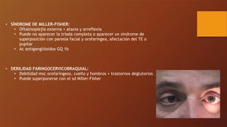 • SÍNDROME DE MILLER-FISHER:
• Oftalmoplejía externa + ataxia y arreflexia
• Puede no aparecer la tríada completa o aparecer un síndrome de
superposición con paresia facial y orofaringea, afectación del TE o
pupilar
• Ac antigangliósidos GQ 1b
• DEBILIDAD FARINGOCERVICOBRAQUIAL:
• Debilidad msc orofaríngeos, cuello y hombros + trastornos deglutorios
• Puede superponerse con el sd Miller-Fisher
 