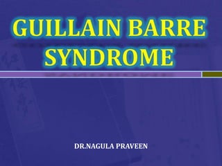 Guillain Barre Syndrome