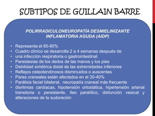 SUBTIPOS DE GUILLAIN BARRE
POLIRRADICULONEUROPATÍA DESMIELINIZANTE
INFLAMATORIA AGUDA (AIDP)

•
•
•
•
•
•
•
•
•

Representa el 85-90%
Cuadro clínico se desarrolla 2 a 4 semanas después de
una infección respiratoria o gastrointestinal.
Parestesias de los dedos de las manos y los pies
Debilidad simétrica distal de las extremidades inferiores
Reflejos osteotendinosos disminuidos o auscentes
Pares craneales están afectados en el 30-40%
Parálisis facial bilateral, neuropatía craneal más frecuente
disritmias cardíacas, hipotensión ortostática, hipertensión arterial
transitoria o persistente, íleo paralítico, disfunción vesical y
alteraciones de la sudoración

 