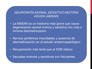 NEUROPATÍA AXONAL SENSITIVO-MOTORA
AGUDA (AMSAN)

• La AMSAN es un trastorno más grave que causa
degeneración axonal motora y sensitiva con nula o
mínima desmielinización.
• Nervios periféricos inexcitables y ausencia de
desmielinización en el estudio anatomopatológico
• Recuperación más lenta que el SGB clásico
• Secuelas motoras y sensitivas son frecuentes

 