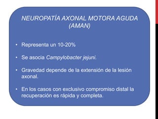 NEUROPATÍA AXONAL MOTORA AGUDA
(AMAN)
• Representa un 10-20%

• Se asocia Campylobacter jejuni.
• Gravedad depende de la extensión de la lesión
axonal.
• En los casos con exclusivo compromiso distal la
recuperación es rápida y completa.

 