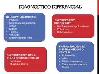 DIAGNOSTICO DIFERENCIAL
NEUROPATÍAS AGUDAS:
• Porfirias
• Neuropatía del paciente
crítico
• Difteria
• Toxinas
• Vasculitis
• Enfermedad de lyme

ENFERMEDADES DE LA
PLACA NEUROMUSCULAR:
• Botulismo
• Miastenia Gravis

ENFERMEDADES
MUSCULARES:
• Hipokalemia e hipofosfatemia.
• Polimiositis
• Rabdomiolisis

ENFERMEDADES DEL
SISTEMA NERVIOSO
CENTRAL
• Poliomielitis
• rabia
• Mielitis transversa
• Trombosis de la Arteria
Basilar

 