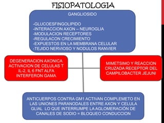 FISIOPATOLOGIA
GANGLIOSIDO
-GLUCOESFINGOLIPIDO
-INTERACCION AXON – NEUROGLIA
-MODULACION RECEPTORES
-REGULACON CRECIMIENTO
-EXPUESTOS EN LA MEMBRANA CELULAR
-TEJIDO NERVIOSO Y NODULOS RANVIER
DEGENERACION AXONICA
ACTIVACION DE CELULAS T
IL-2, IL 6 FNT ALFA
INTERFERON GAMA

MIMETSIMO Y REACCION
CRUZADA RECEPTOR DEL
CAMPILOBACTER JEJUNI

ANTICUERPOS CONTRA GM1 ACTIVAN COMPLEMETO EN
LAS UNIONES PARANODALES ENTRE AXON Y CELULA
GLIAL LO QUE INTERRUMPE LA AGLOMERACIÓN DE
CANALES DE SODIO = BLOQUEO CONDUCCION

 