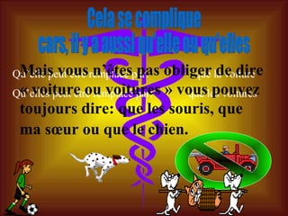 Cela se complique  cars, il y a aussi qu'elle ou qu'elles Qu’elle peut être remplacé par:  que la voiture Qu’elles peut être remplacé par:  que les voitures   Mais vous n’êtes pas obliger de dire « voiture ou voitures » vous pouvez toujours dire: que les souris, que ma sœur ou que le chien.   