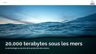 WAQ 2021
20,000 terabytes sous les mers
La technologie au service de la protection des océans
 