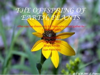 THE OFFSPRING OF EARTH, PLANTS  «The rose has thornsonlyforthosewhowouldgatherit»  -ChineseProverb Daniel Ordoñez Guillermo Pérez Sergio Rincón Juan Pablo Rey 