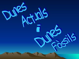 Dunes Actuals i Dunes Fòssils 