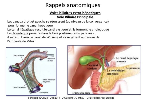 La préparation à la thrombose