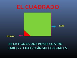 EL CUADRADO
LADO
ÁNGULO
ES LA FIGURA QUE POSEE CUATRO
LADOS Y CUATRO ÁNGULOS IGUALES.