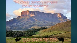 LOS SABANEROS
“No comas cuento y rustiquea
con los sabaneros”
 