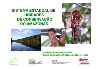SISTEMA ESTADUAL DE
      UNIDADES
   DE CONSERVAÇÃO
    DO AMAZONAS




             Guillermo Bendezú Estupiñán
             Centro Estadual de Unidades de Conservação
 
