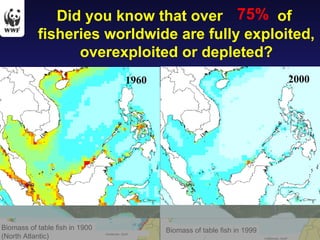 Did you know that over  of  fisheries worldwide are fully exploited, overexploited or depleted? 75% 1960 2000 