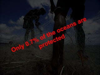 Marine Protected Areas Only 0.7% of the oceans are protected 