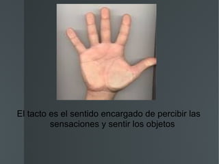 El tacto es el sentido encargado de percibir las sensaciones y sentir los objetos 