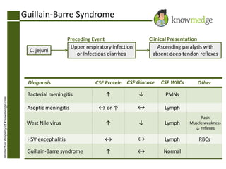 Guillain-Barre Syndrome

↑

Aseptic meningitis

↔ or ↑

West Nile virus

↑

HSV encephalitis

↔

Guillain-Barre syndrome

↑

Other

PMNs
Lymph
Lymph

Rash
Muscle weakness
↓ reflexes

↔

Bacterial meningitis

CSF WBCs

↑

Intellectual Property of Knowmedge.com

CSF Protein CSF Glucose

↔

Diagnosis

↑

C. jejuni

Clinical Presentation
Ascending paralysis with
absent deep tendon reflexes

Preceding Event
Upper respiratory infection
or Infectious diarrhea

Lymph

RBCs

↔

Normal

 