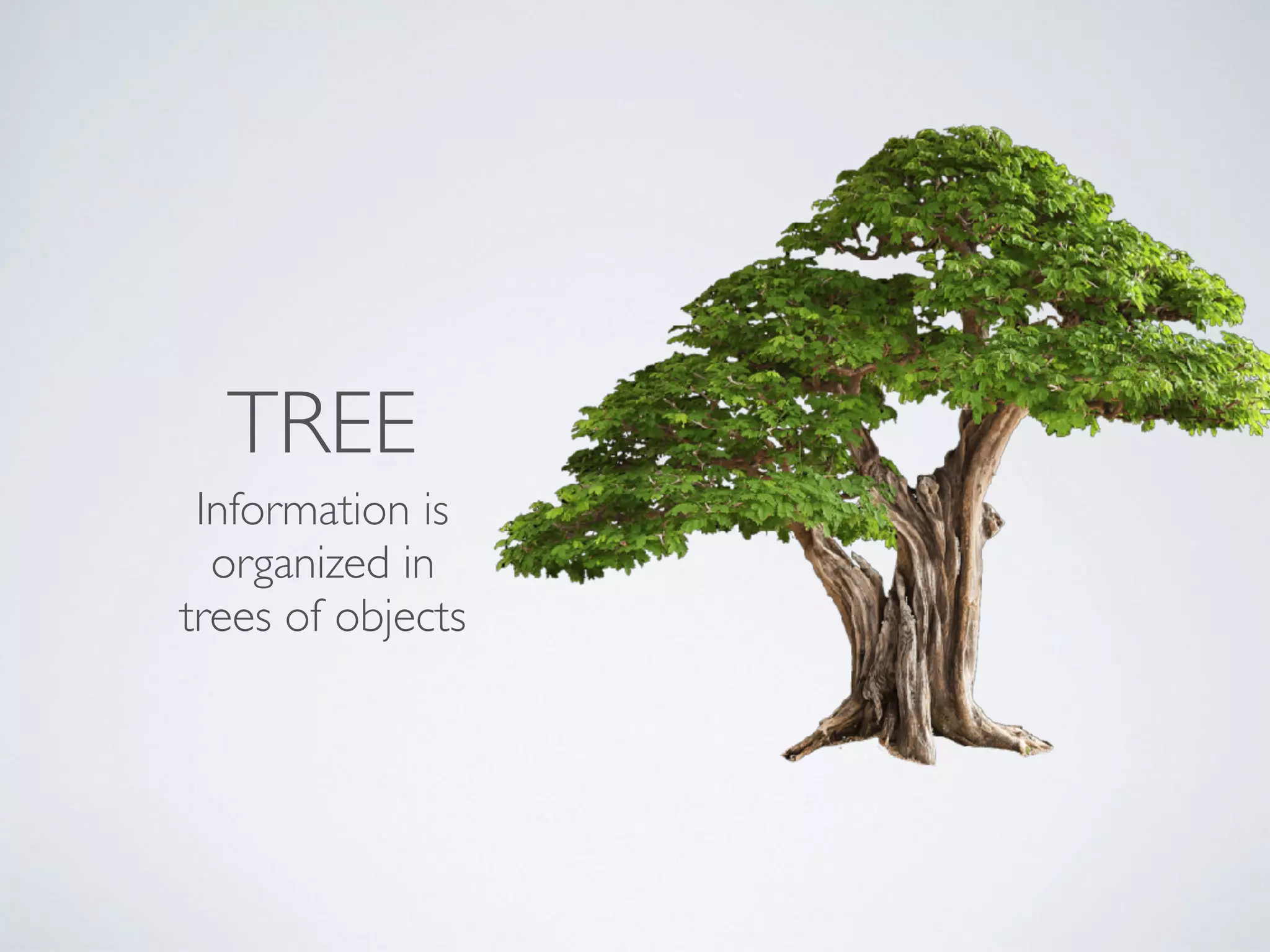 TREE
Information is 
organized in 
trees of objects
 