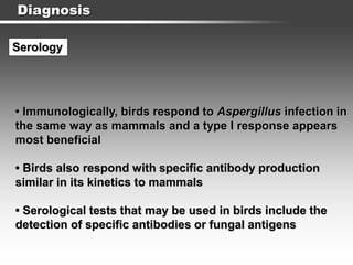 Diagnosis
Serology
• Immunologically, birds respond to Aspergillus infection in
the same way as mammals and a type I response appears
most beneficial
• Birds also respond with specific antibody production
similar in its kinetics to mammals
• Serological tests that may be used in birds include the
detection of specific antibodies or fungal antigens
 