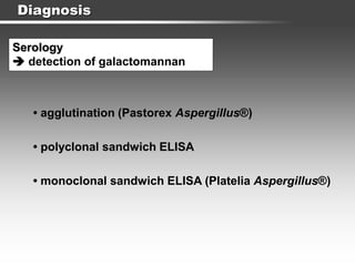 Diagnosis
Serology
 detection of galactomannan
• agglutination (Pastorex Aspergillus®)
• monoclonal sandwich ELISA (Platelia Aspergillus®)
• polyclonal sandwich ELISA
 