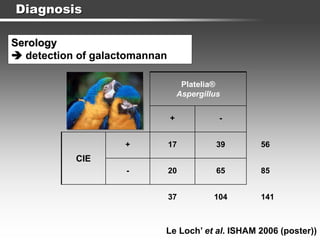 Diagnosis
Serology
 detection of galactomannan
Le Loch’ et al. ISHAM 2006 (poster))
Platelia®
Aspergillus
+ -
CIE
+ 17 39 56
- 20 65 85
37 104 141
 