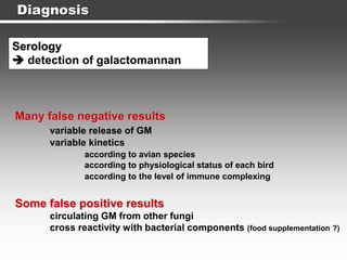 Diagnosis
Serology
 detection of galactomannan
Many false negative results
variable release of GM
variable kinetics
according to avian species
according to physiological status of each bird
according to the level of immune complexing
Some false positive results
circulating GM from other fungi
cross reactivity with bacterial components (food supplementation ?)
 