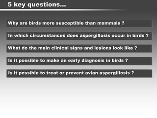 5 key questions…
Why are birds more susceptible than mammals ?
In which circumstances does aspergillosis occur in birds ?
Is it possible to make an early diagnosis in birds ?
Is it possible to treat or prevent avian aspergillosis ?
What do the main clinical signs and lesions look like ?
 