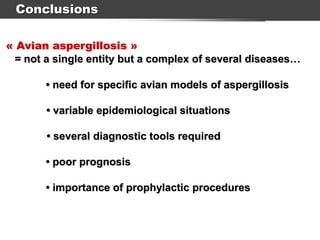 Conclusions
« Avian aspergillosis »
= not a single entity but a complex of several diseases…
• importance of prophylactic procedures
• poor prognosis
• need for specific avian models of aspergillosis
• variable epidemiological situations
• several diagnostic tools required
 