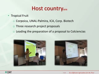 Latin America and the Caribbean Region