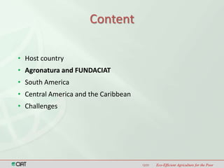 Latin America and the Caribbean Region