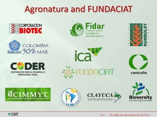 Latin America and the Caribbean Region