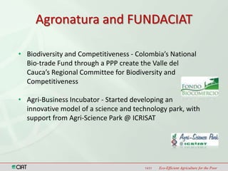 Latin America and the Caribbean Region