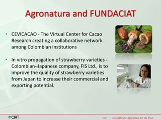 Latin America and the Caribbean Region