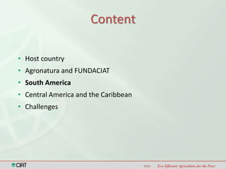Latin America and the Caribbean Region