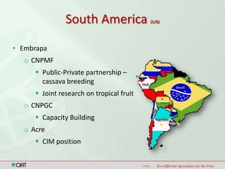 Latin America and the Caribbean Region