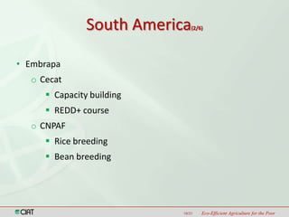 Latin America and the Caribbean Region