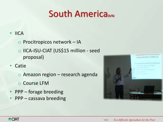 Latin America and the Caribbean Region