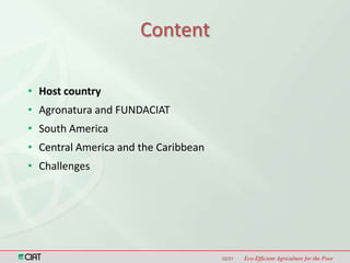 Latin America and the Caribbean Region