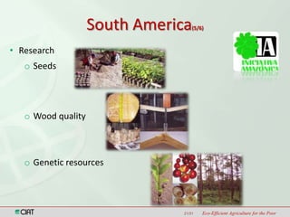 Latin America and the Caribbean Region